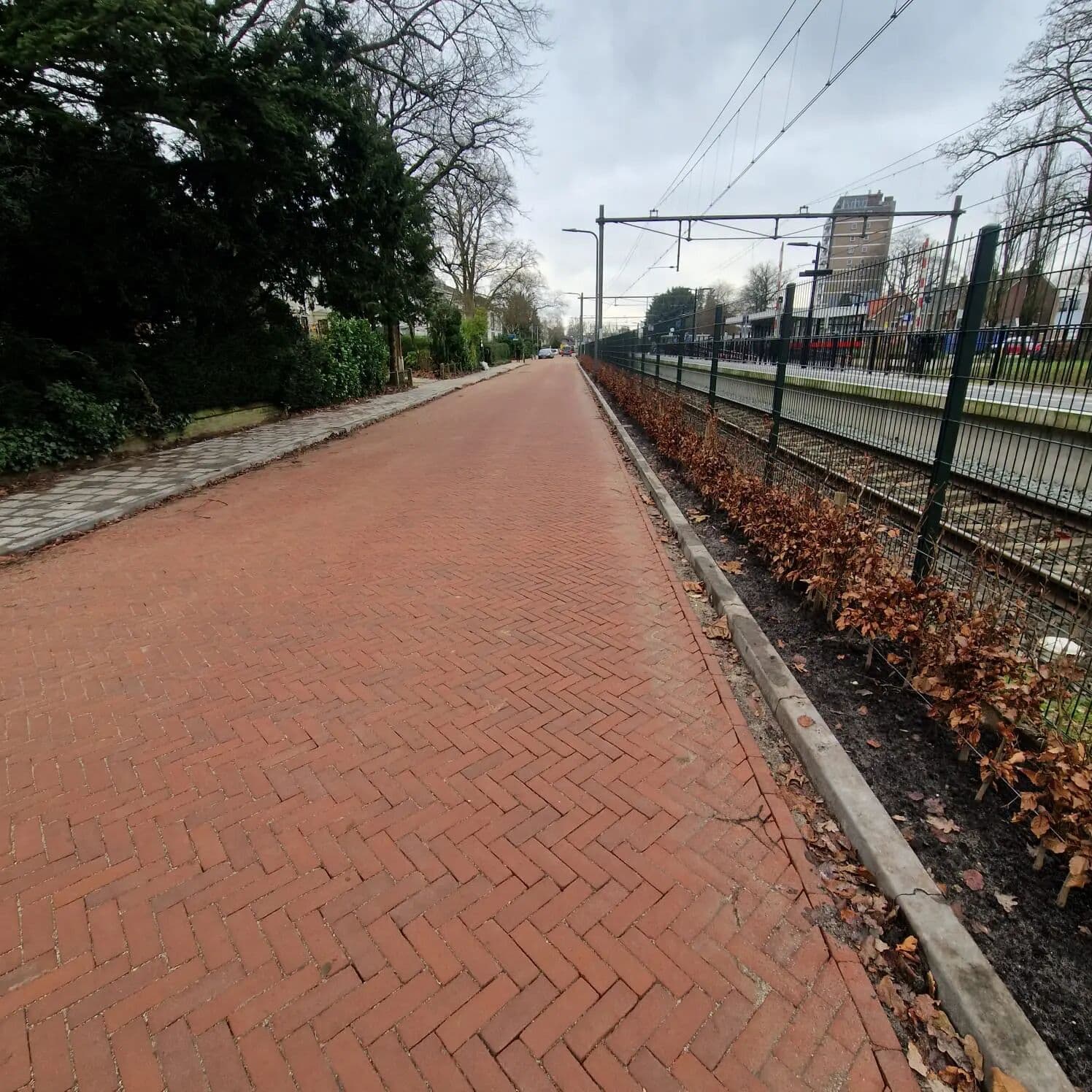 Reconstructie Kastanjelaan in Velp, foto 1
