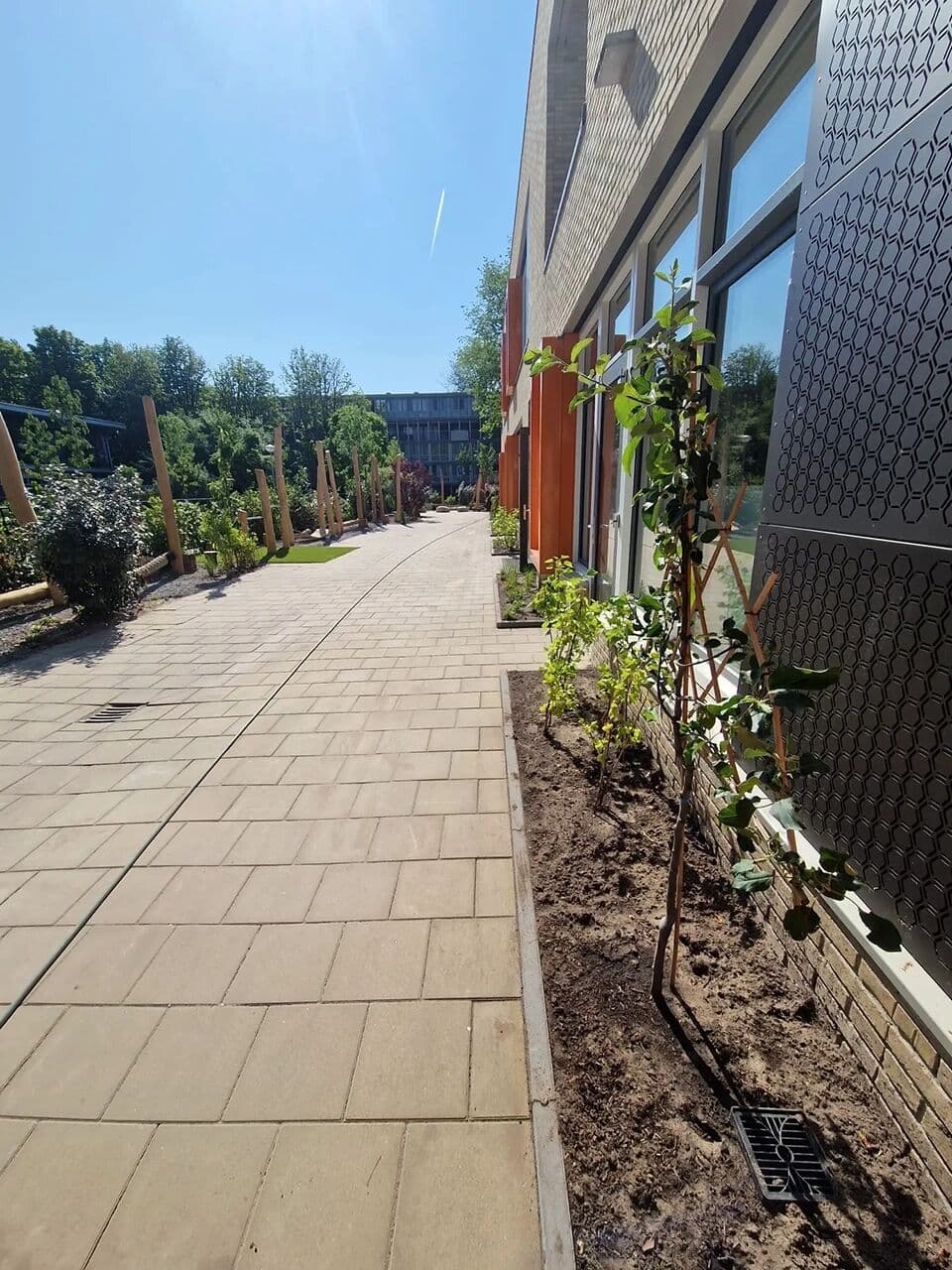 Vergroenen schoolplein Amsterdam, foto 10