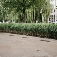 Woonstraten en parkeervakken