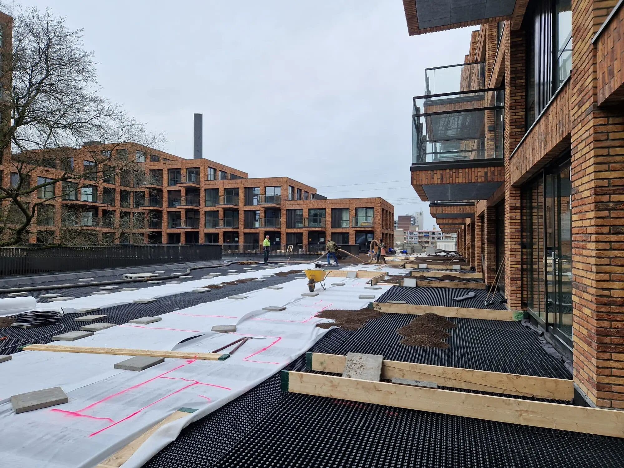 Daktuin en bestrating op hoogte in Veenendaal, foto 1